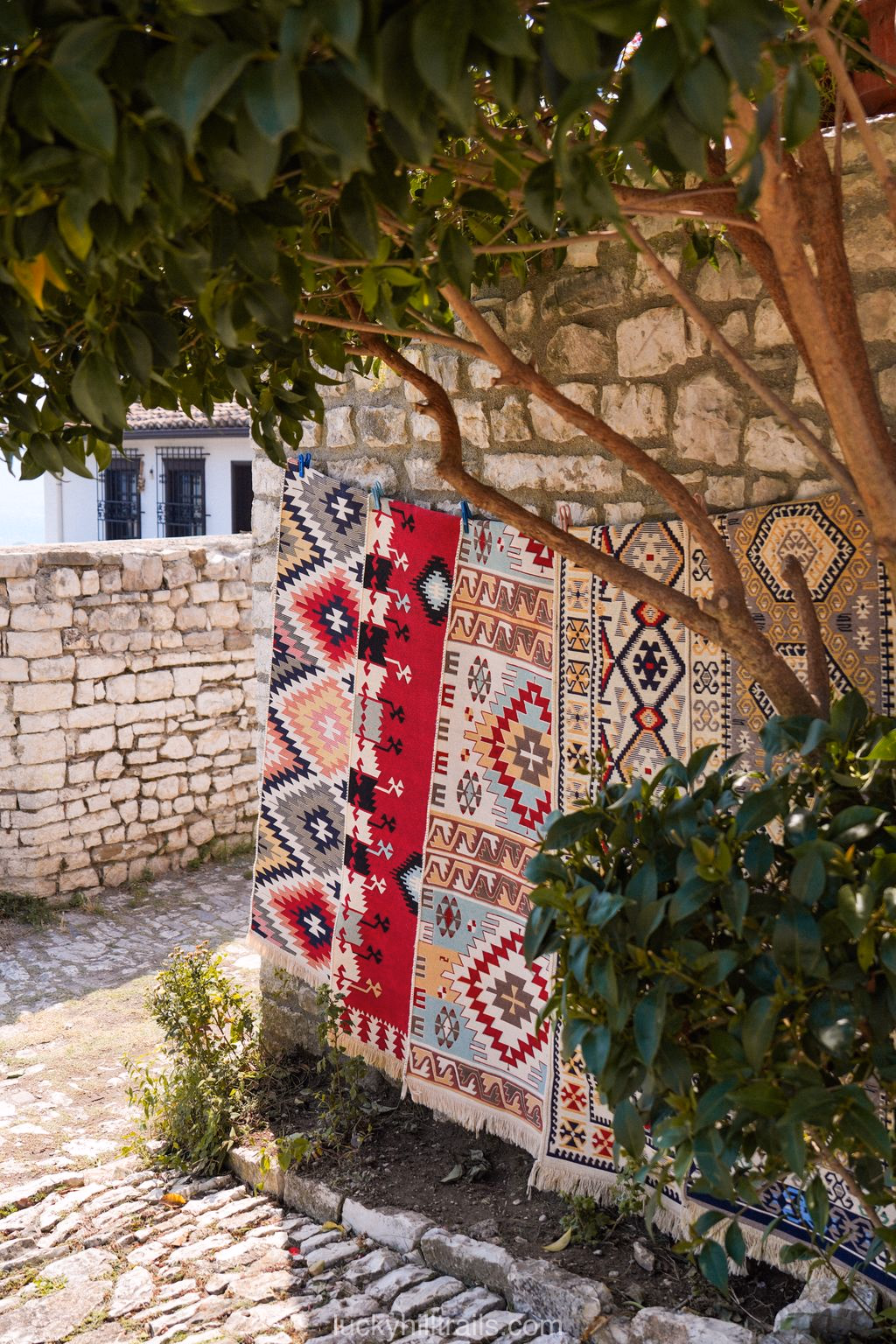 Traditional Albanian rugs with ornamental patterns hanging on a stone wall under a tree