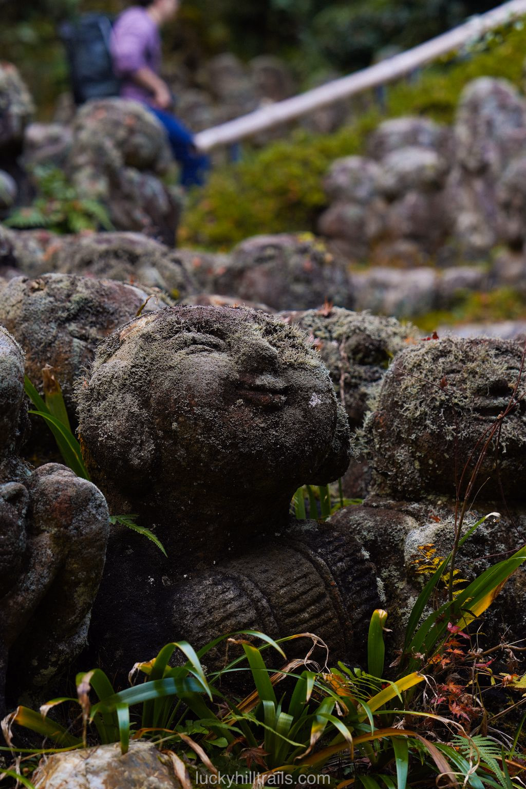 Moss-covered stone rakan figures close up, Otagi Nenbutsu-ji Temple, Arashiyama