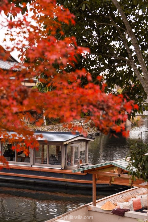 Arashiyama: Bamboo Forest, Monkeys and Ancient Temples
