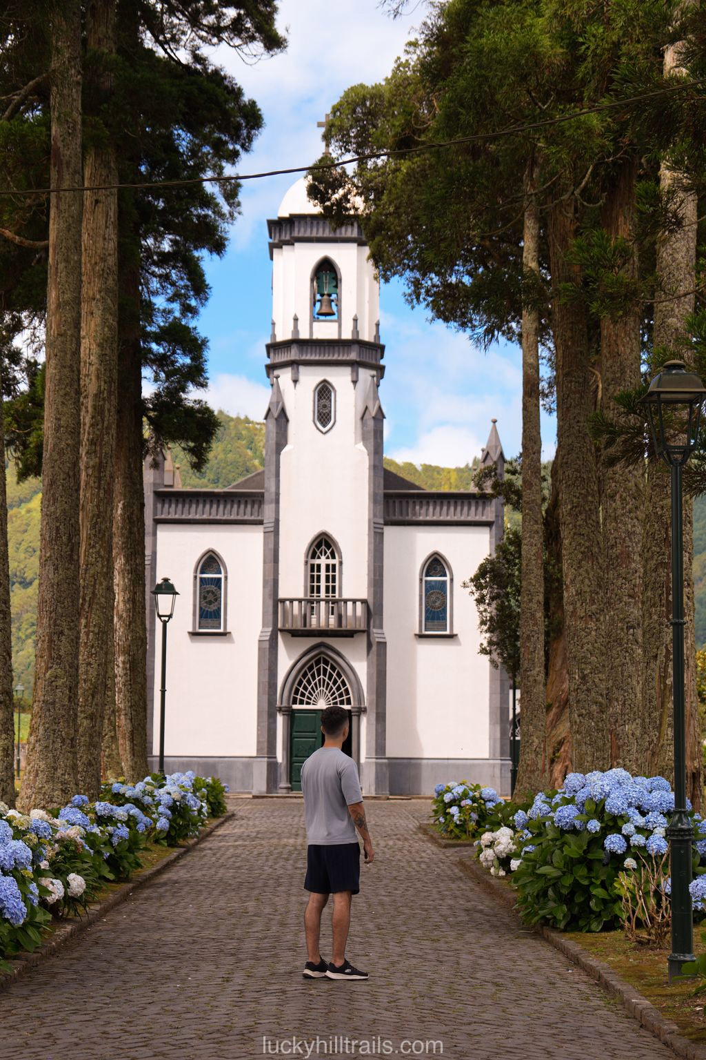 Igreja de São Nicolau church framed by plane trees and blooming hydrangeas, Sete Cidades, São Miguel, Azores