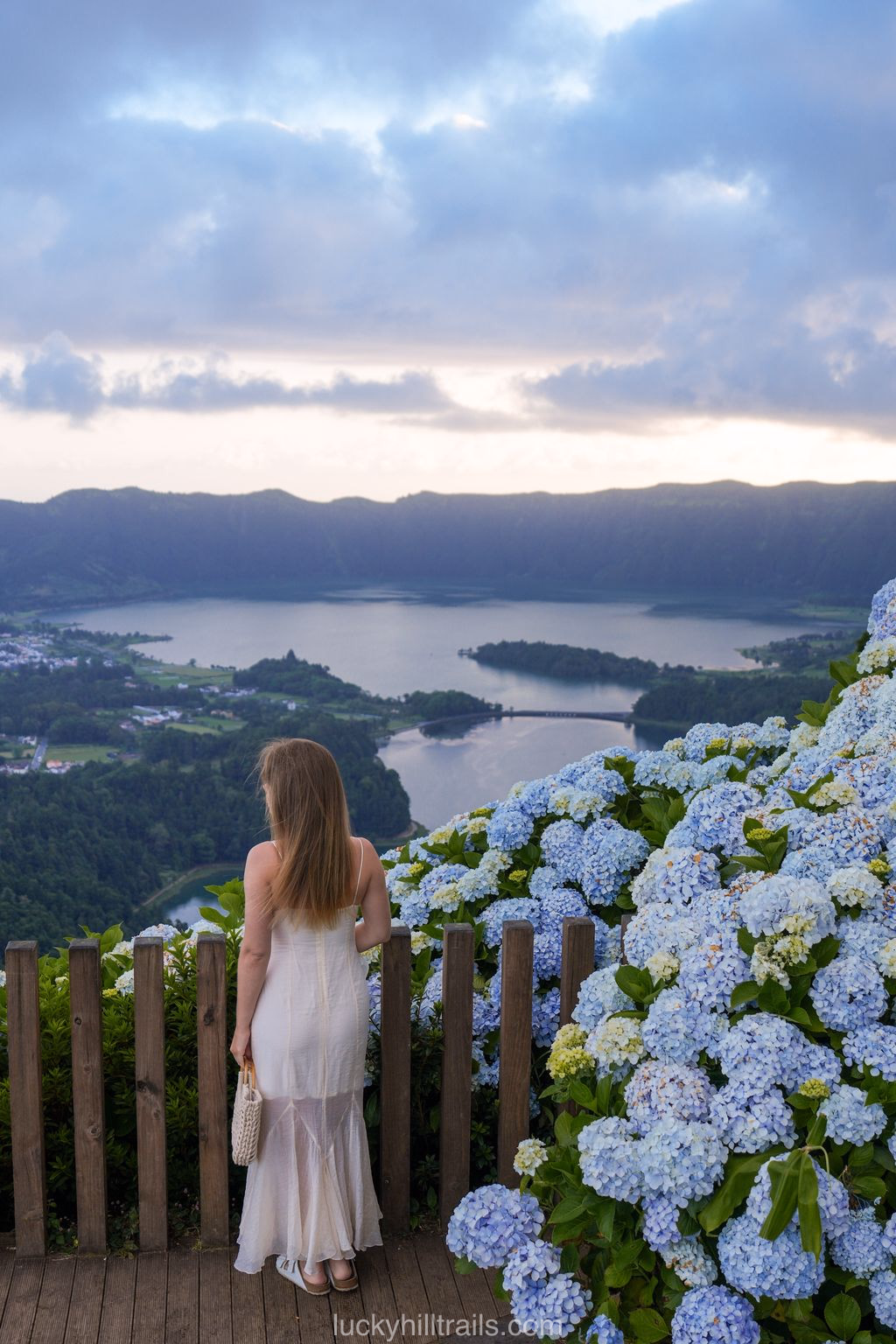 Hydrangea hedge along the railing at Vista do Rei viewpoint overlooking Sete Cidades, São Miguel, Azores