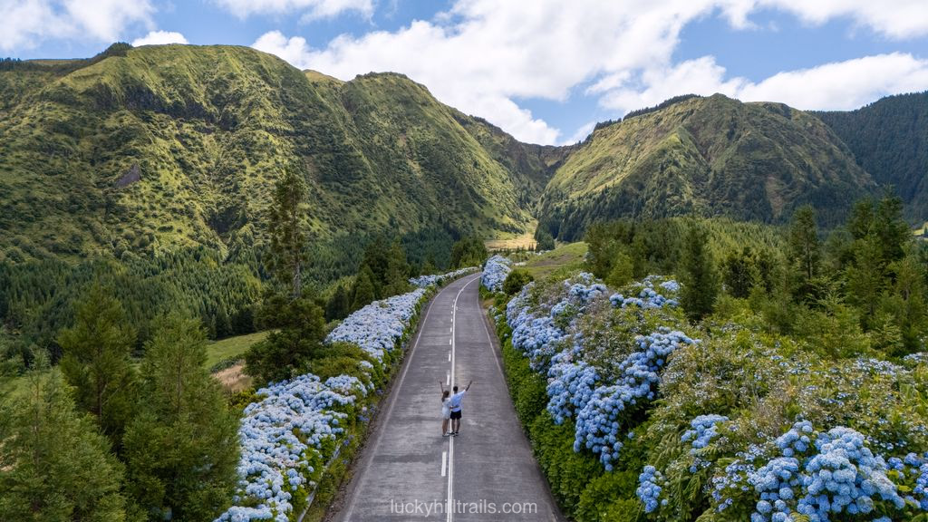 Couple standing on Estrada das Hortênsias surrounded by dense blue hydrangea hedges, São Miguel, Azores