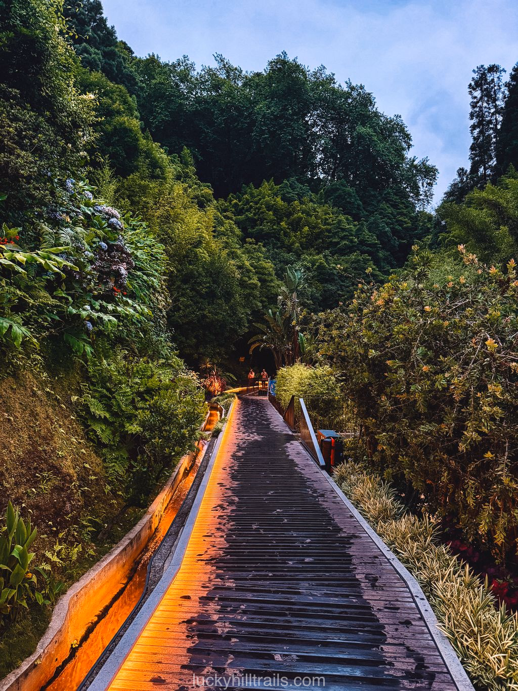 Illuminated wooden boardwalk leading into Poça da Dona Beija hot springs at night, São Miguel, Azores