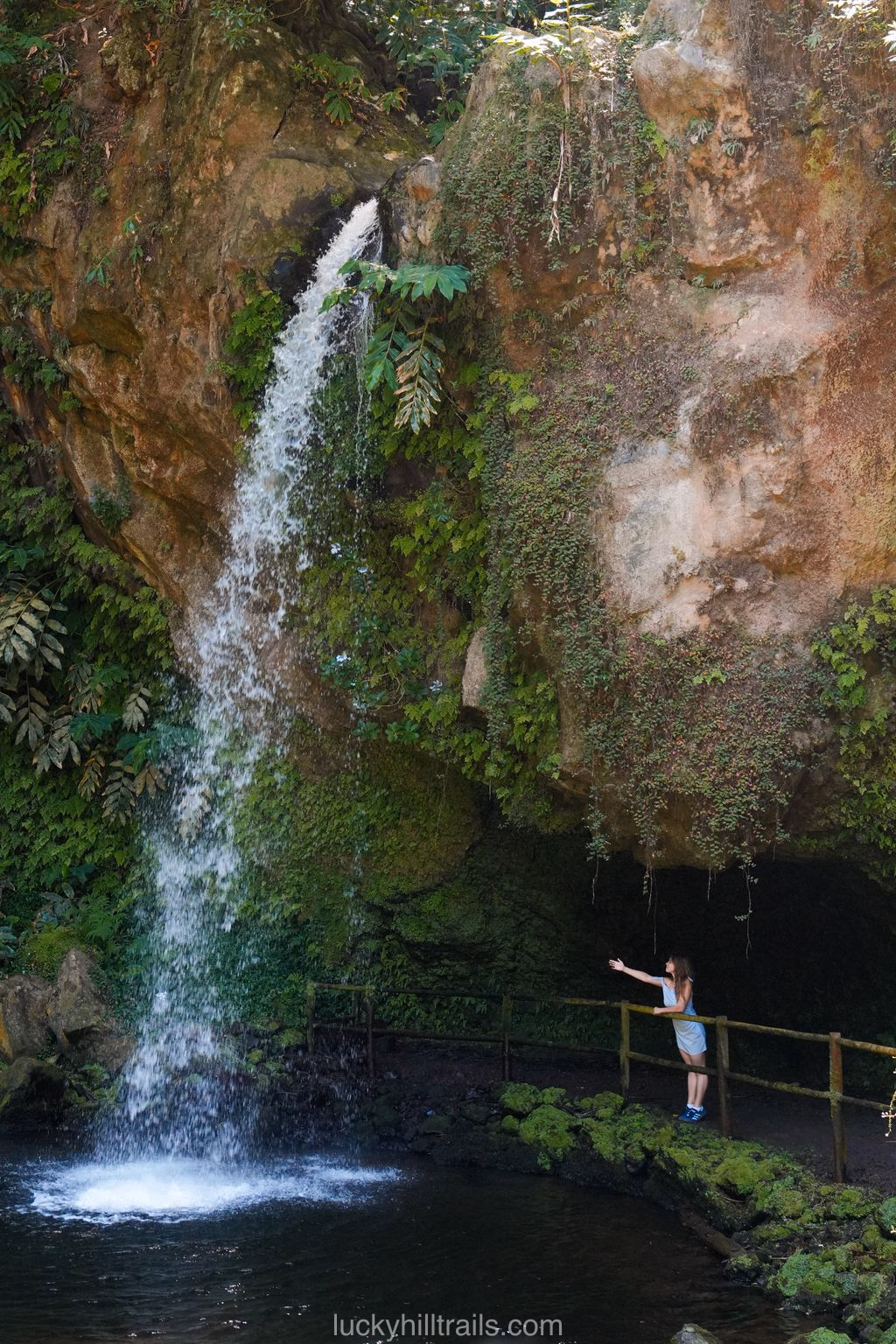 Cascata da Gruta waterfall in the forest near Lomba de São Pedro, São Miguel island, Azores