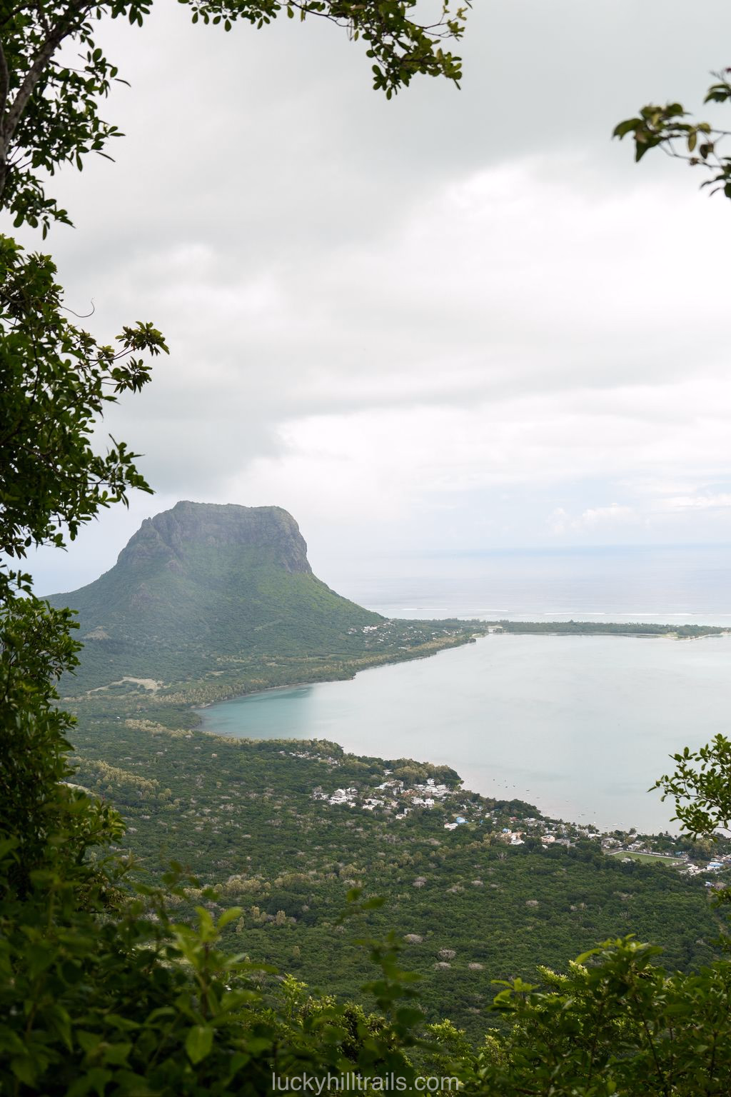 mauritius black river ebony forest le morne