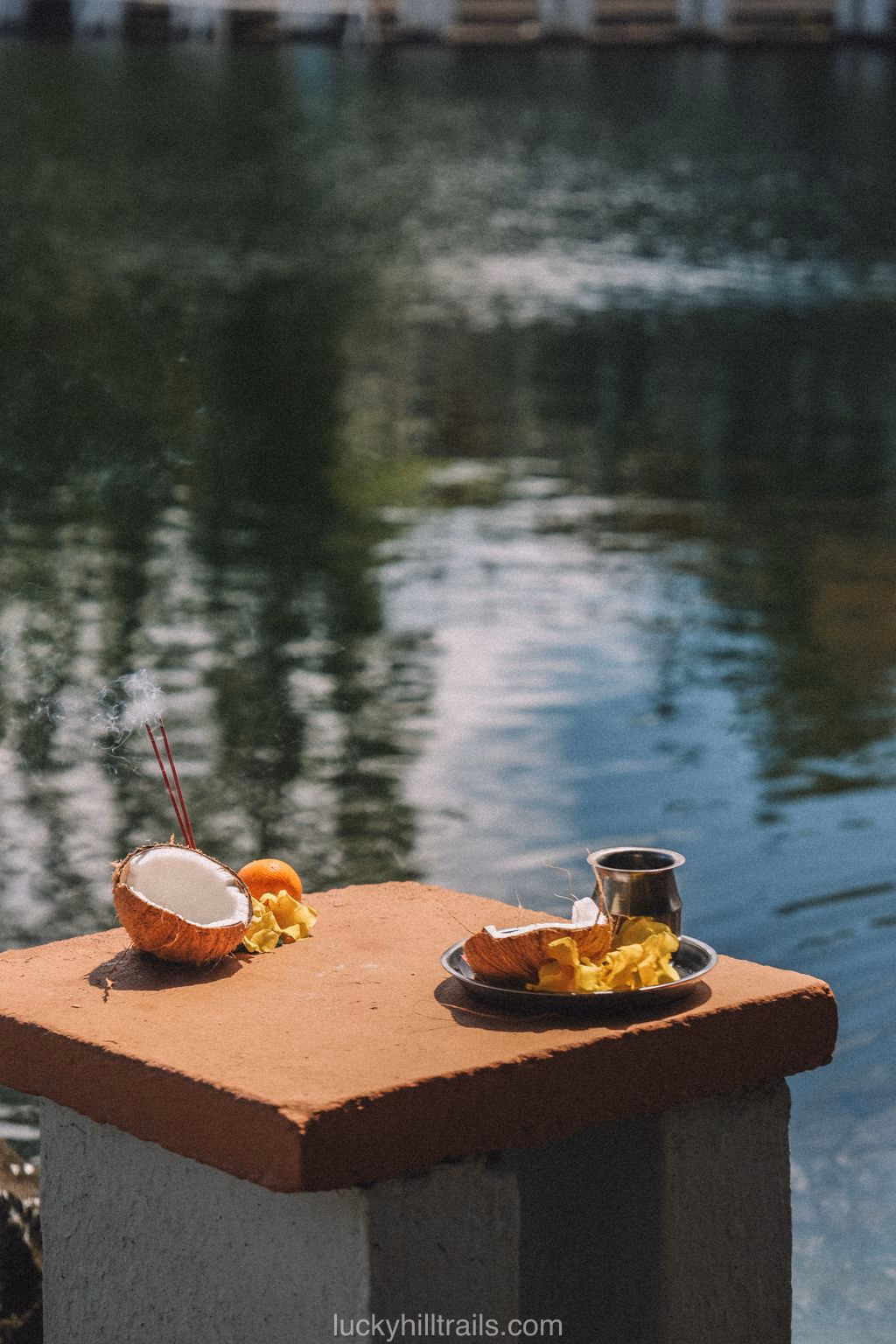 mauritius black river grand bassin