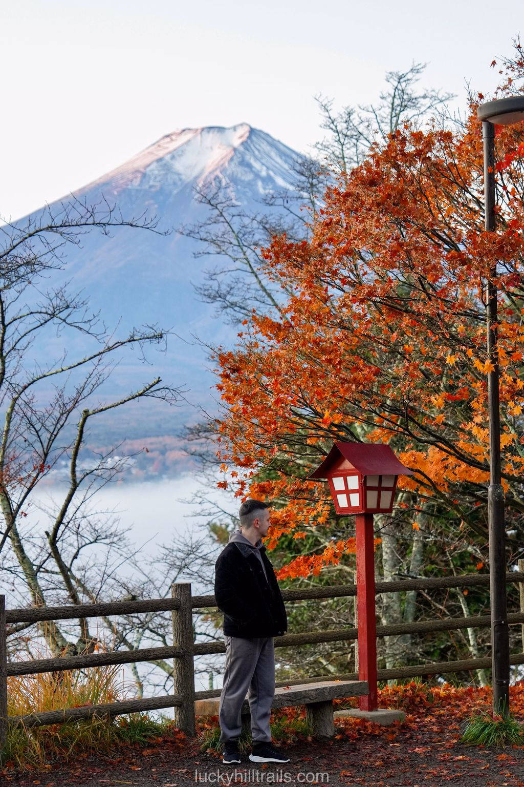 View of Mount Fuji with a maple tree and stone lantern near Chureito