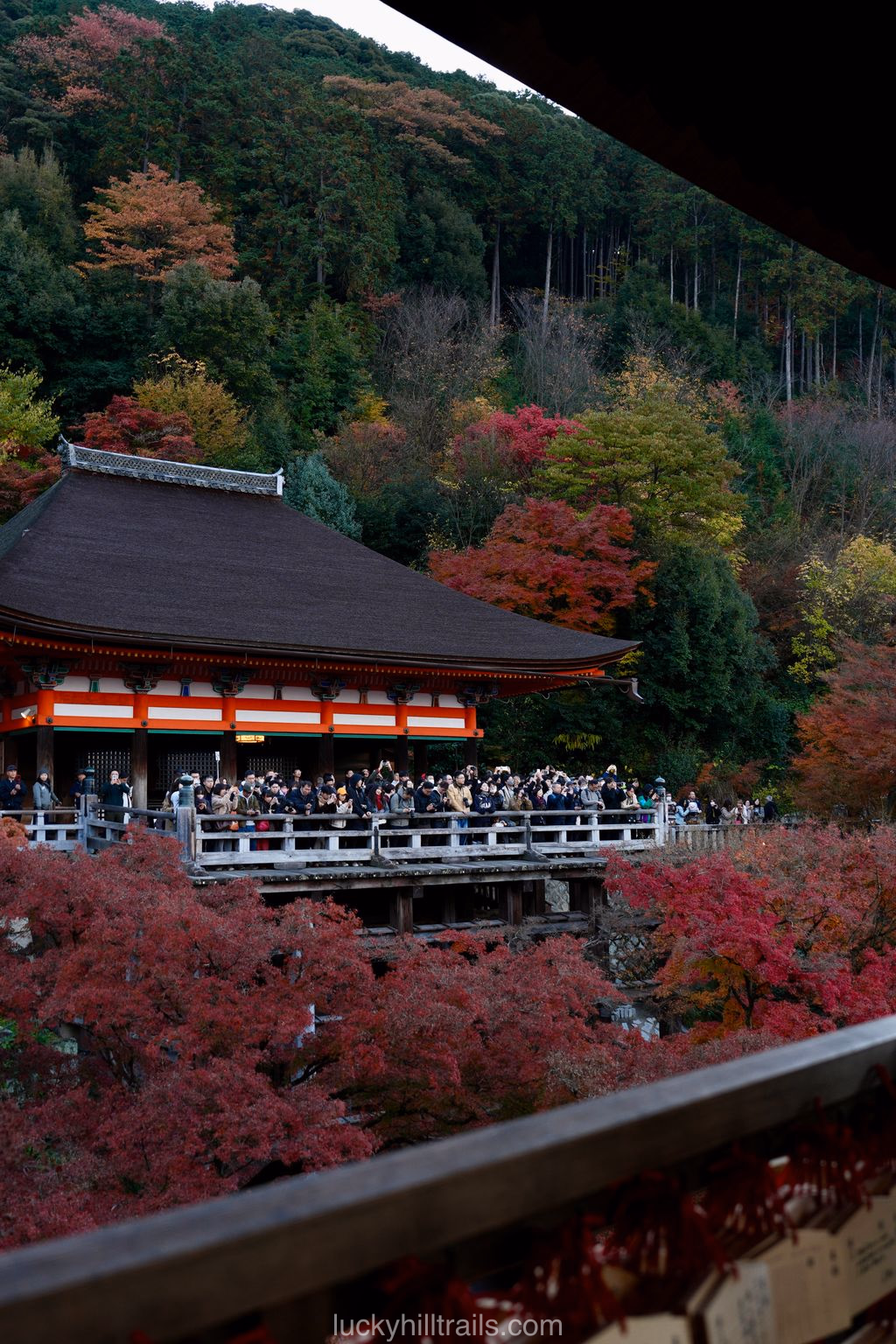 Wooden stage of Kiyomizu-dera with tourists against autumn forest, Kyoto