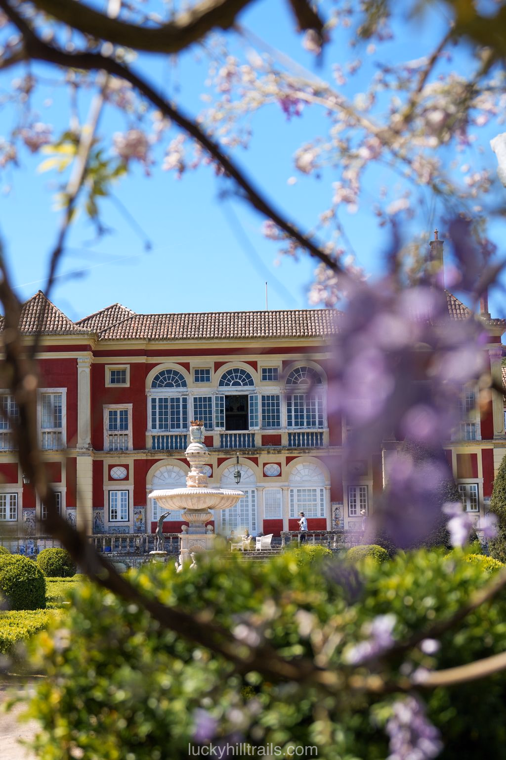 Palace Fronteira – red facade glimpsed through flowering wisteria branches, fountain and formal garden in the foreground, Lisbon, Portugal