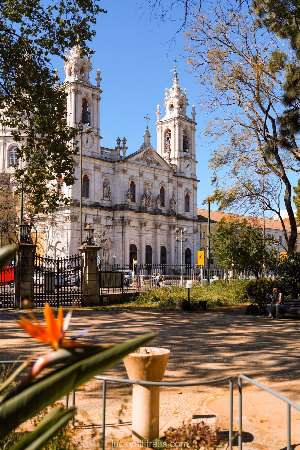 Basílica da Santíssima Estrela with twin bell towers, view from Jardim da Estrela park with a bird-of-paradise flower in the foreground, Lisbon, Portugal