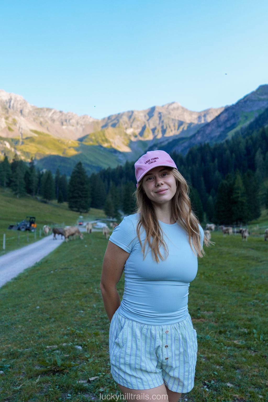 Cows grazing in a meadow near Gänglesee
