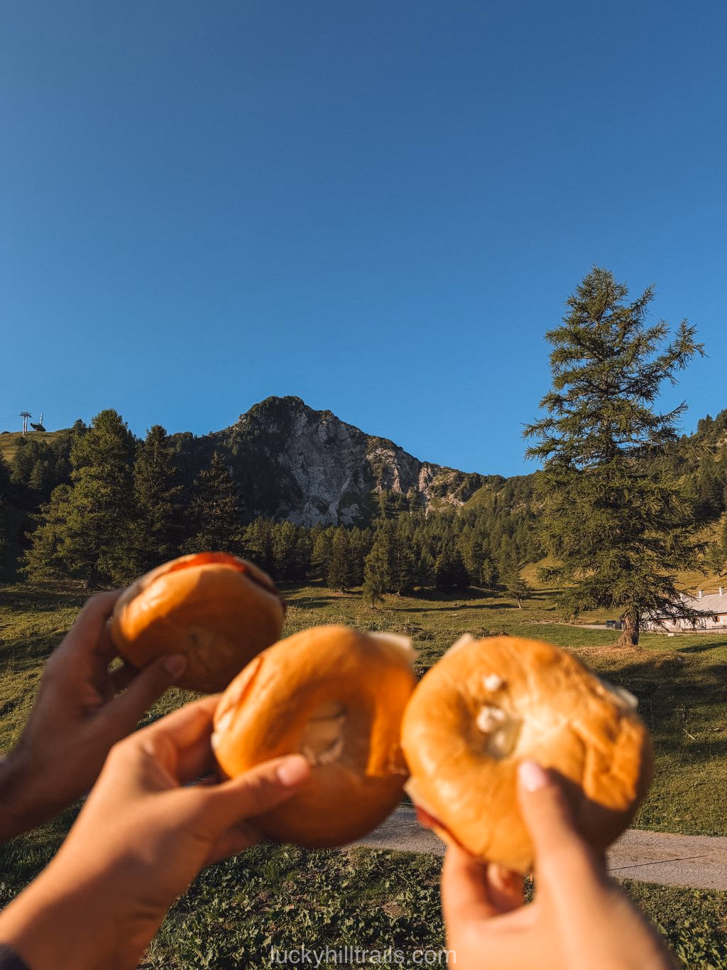 Fresh sandwiches at the Alp Pradamee farm with mountains behind