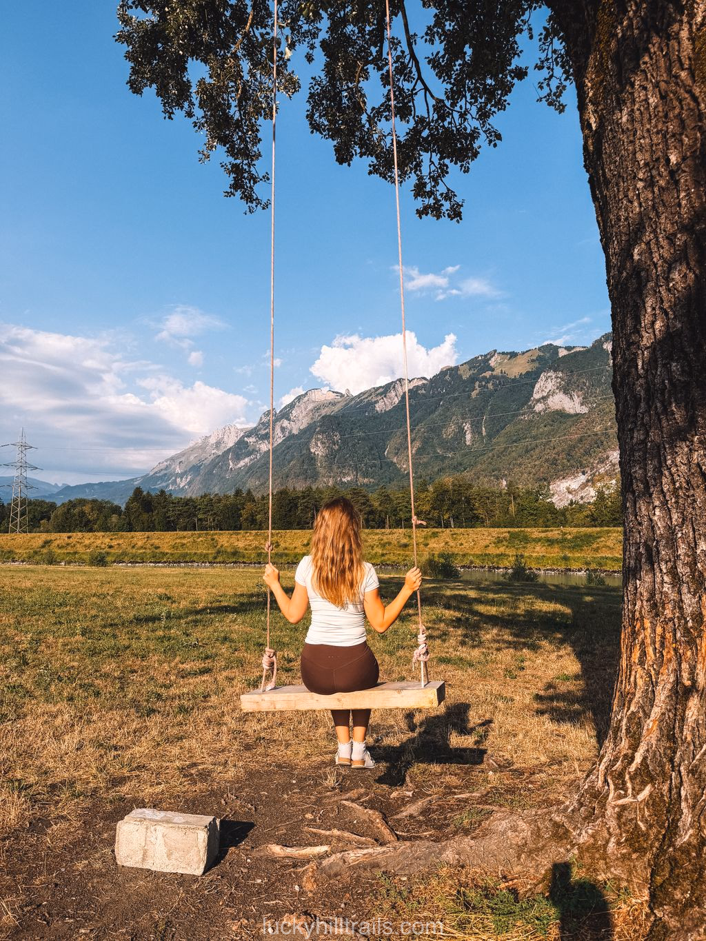 Tree swing overlooking the Alps at the tripoint of three countries
