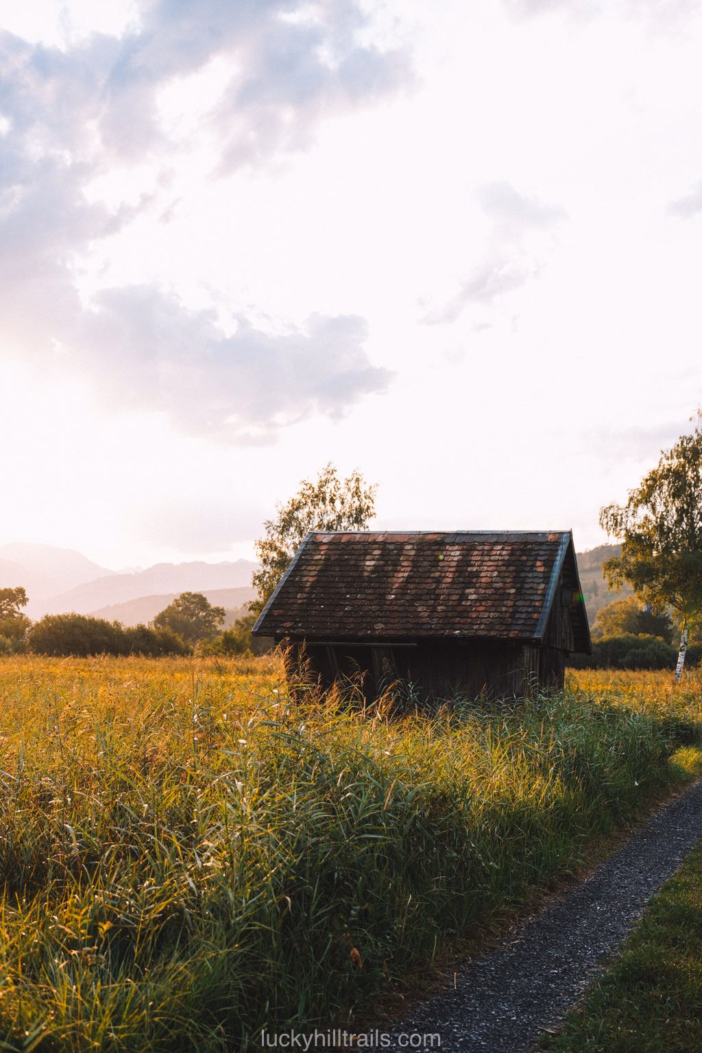 Old wooden hut in the wet meadows of Ruggeller Riet at sunrise