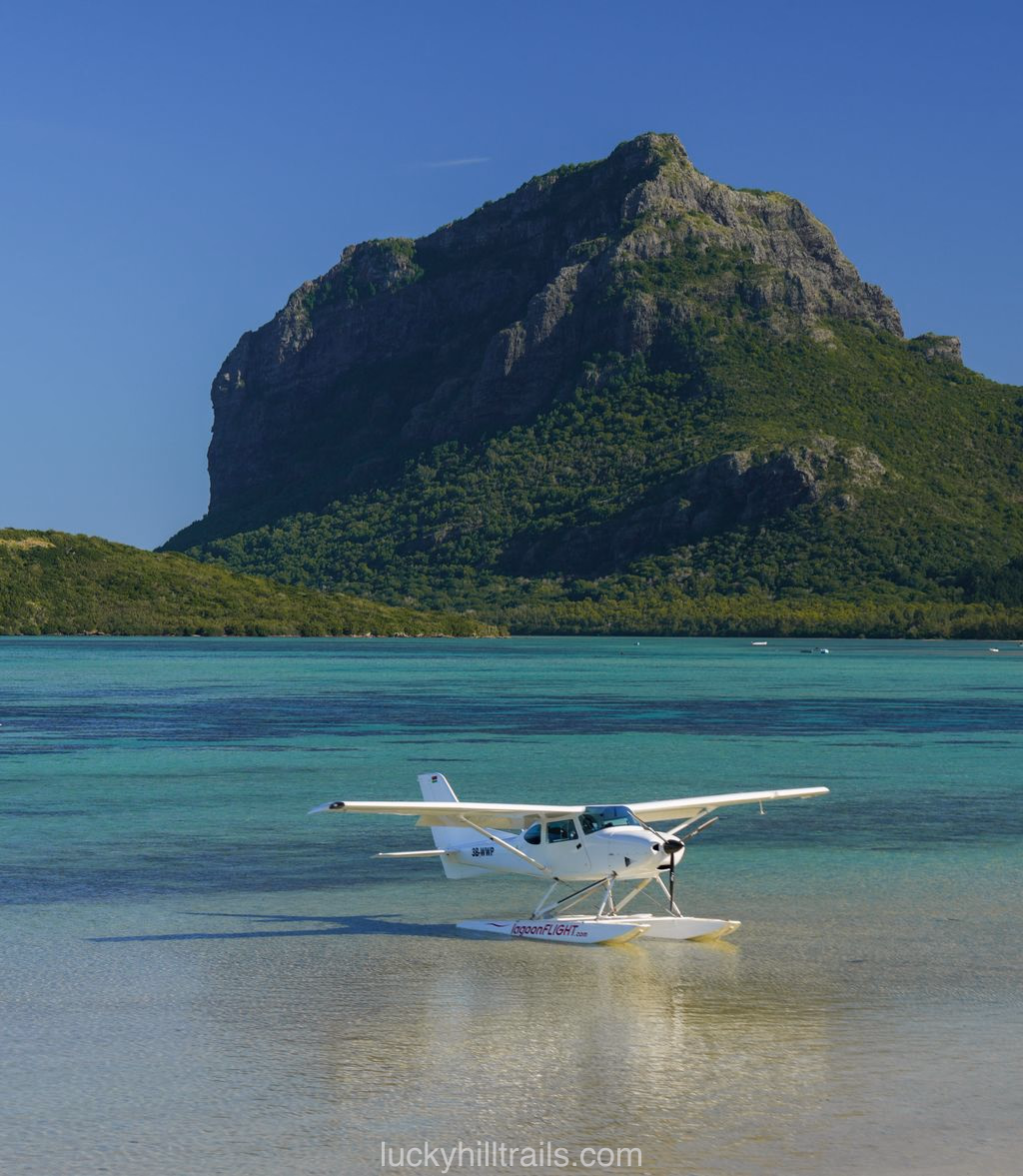 Seaplane on Le Morne view