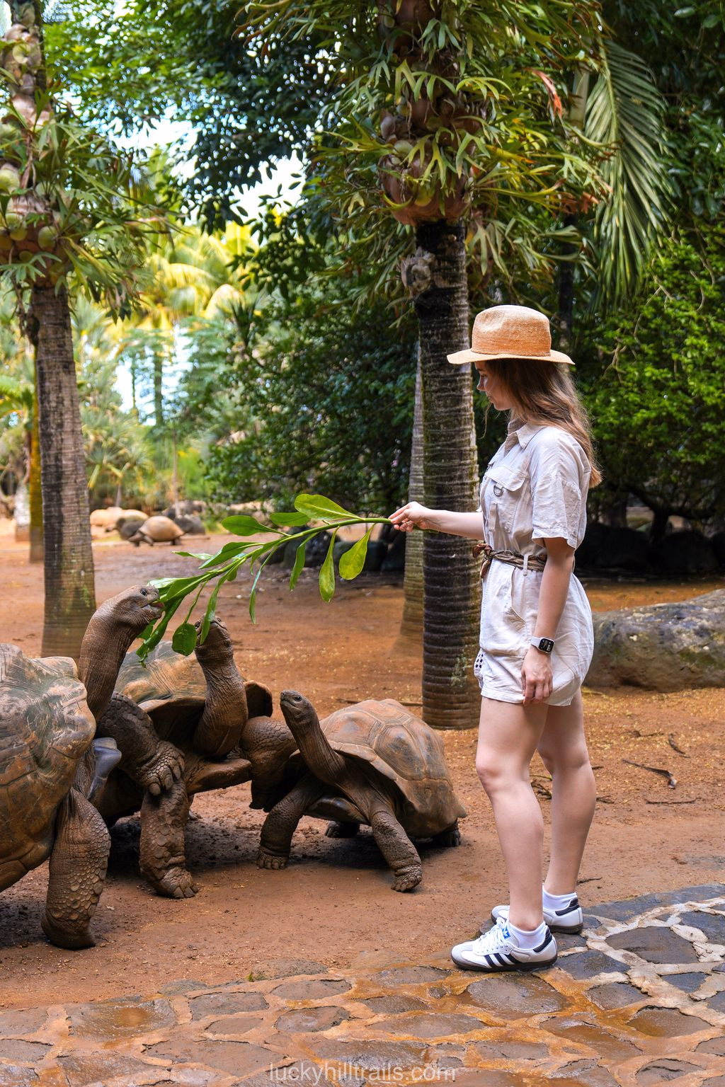 The Brightest Activities in Mauritius: for those who want more than just the sea