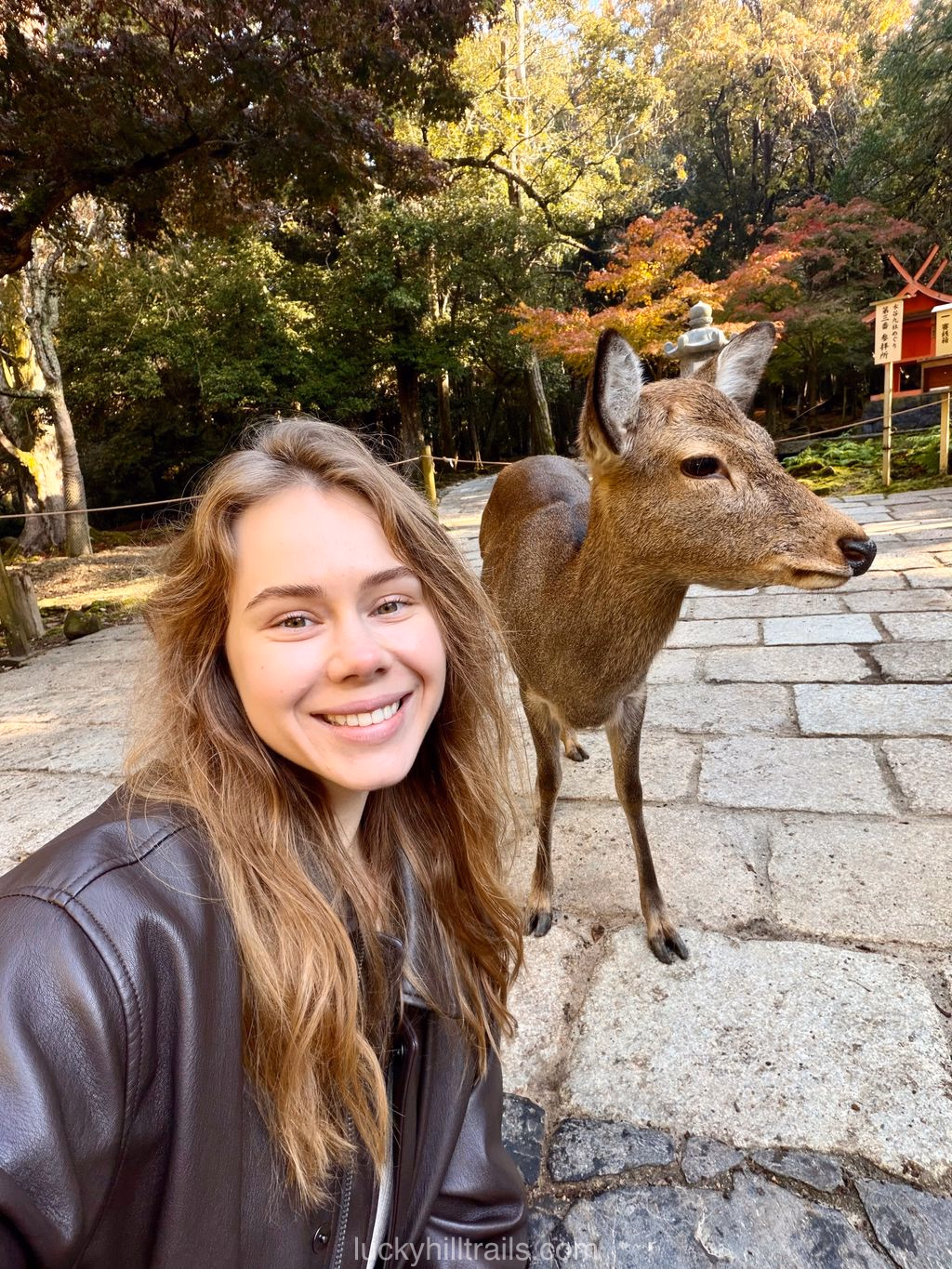 Girl taking a selfie with a deer in Nara Park