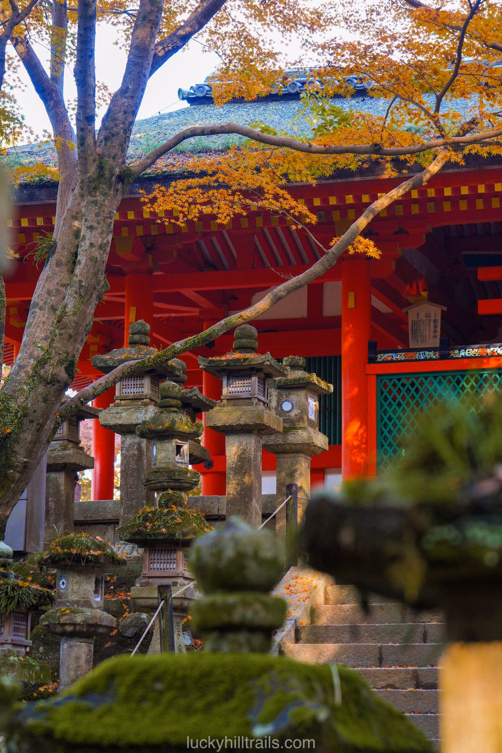 Traditional temple in Nara among bright orange autumn maples