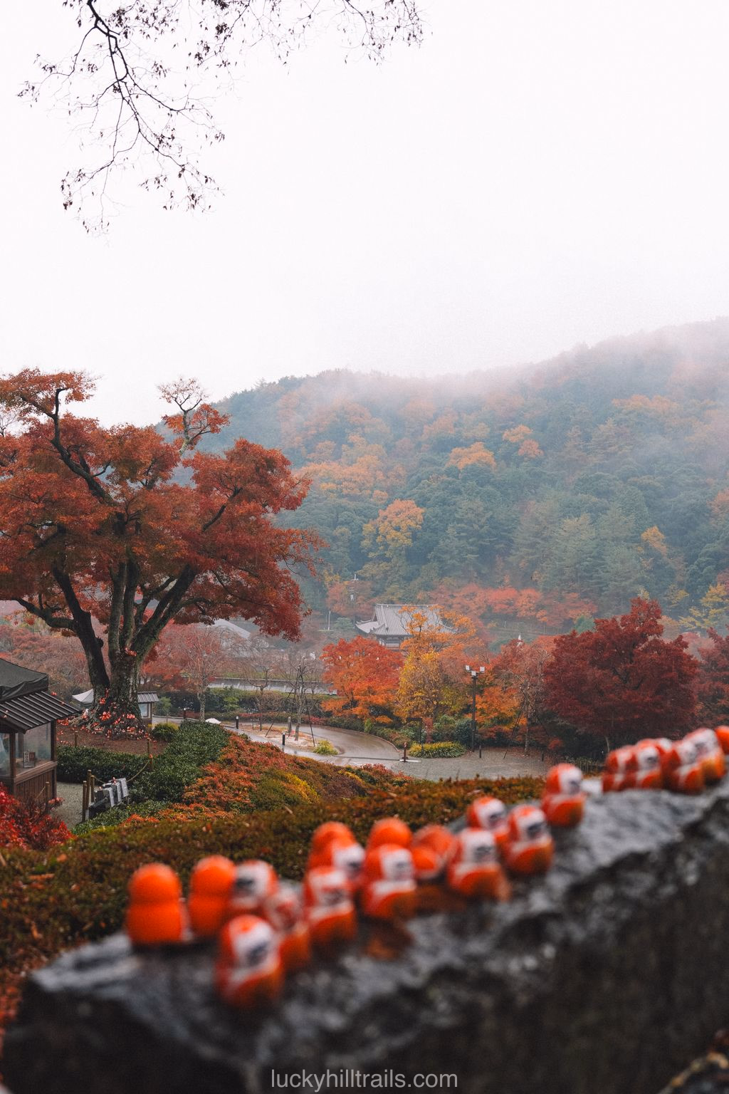 A row of daruma dolls on a stone fence against a backdrop of autumn trees and the Katsuo-ji hills