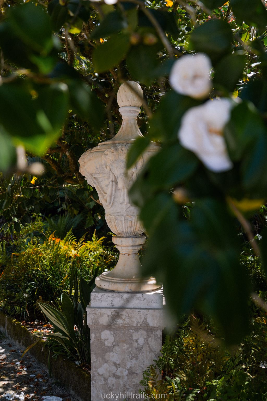 Decorative stone urn on a pedestal in the gardens of Quinta da Regaleira, surrounded by greenery and white camellia blossoms, Sintra, Portugal