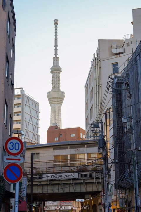 Best Things to Do in Tokyo for Your First Trip