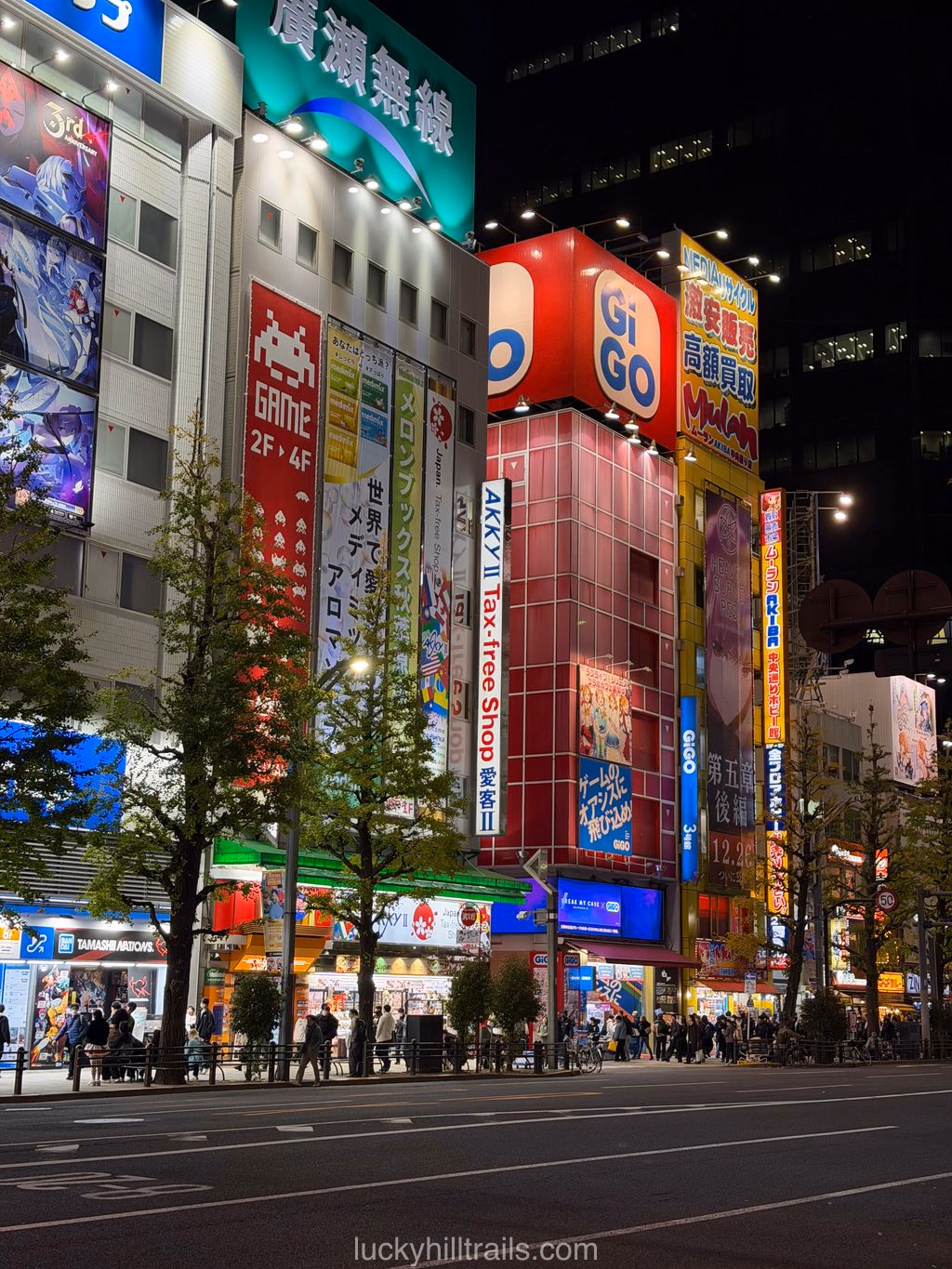 Akihabara — popular Tokyo district for shopping and otaku culture