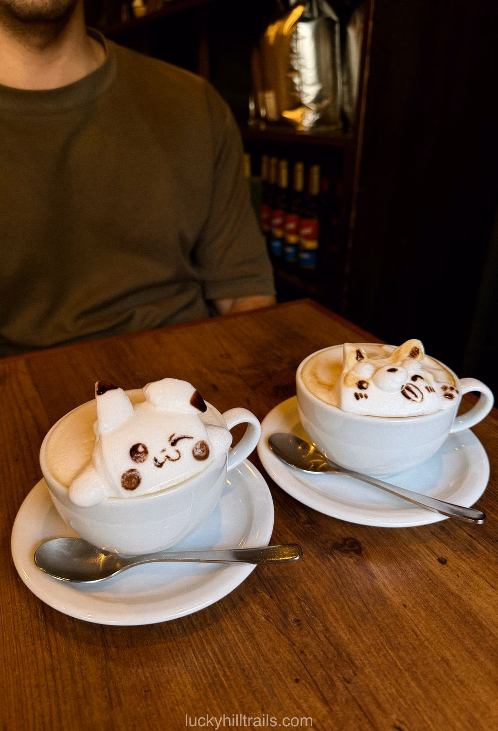 Art on foam: beautiful latte art