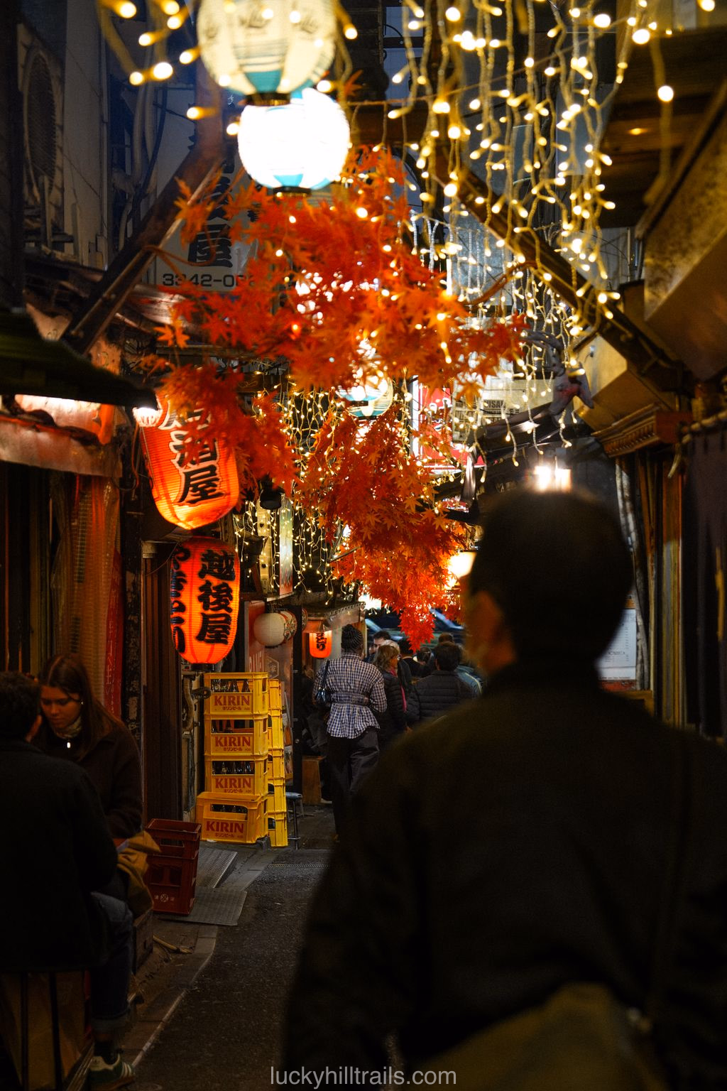 Omoide Yokocho street in Shinjuku with small restaurants and bars