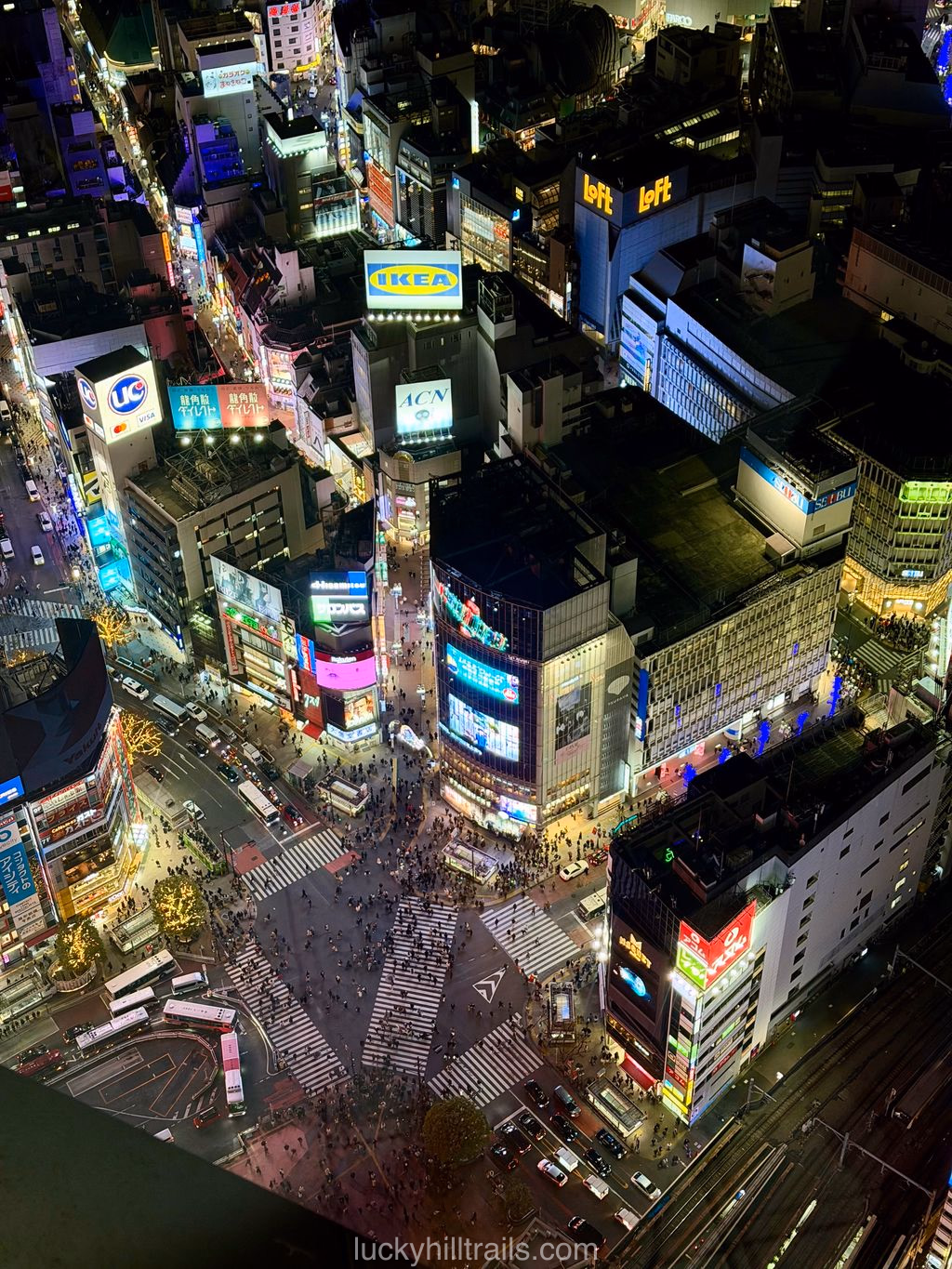 View of skyscrapers and Shibuya crossing from Shibuya Sky observation deck