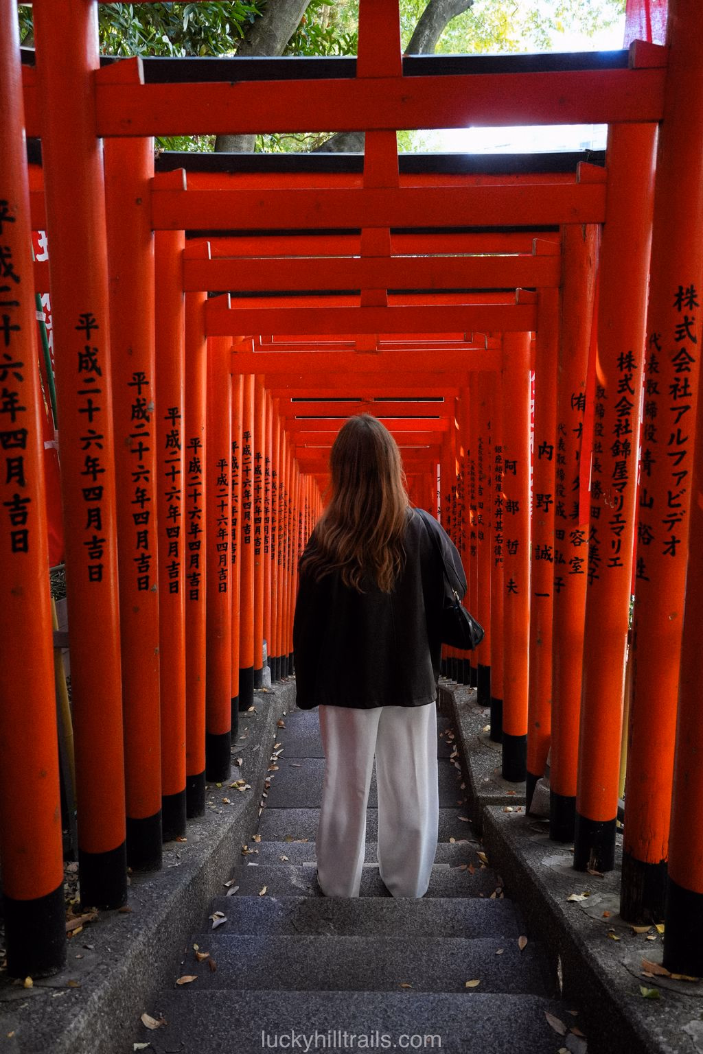 Hie Shrine in Tokyo with traditional torii gates and red gates