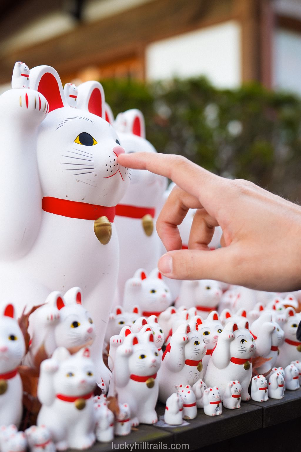 Japanese Gōtokuji Temple with thousands of cat figurines