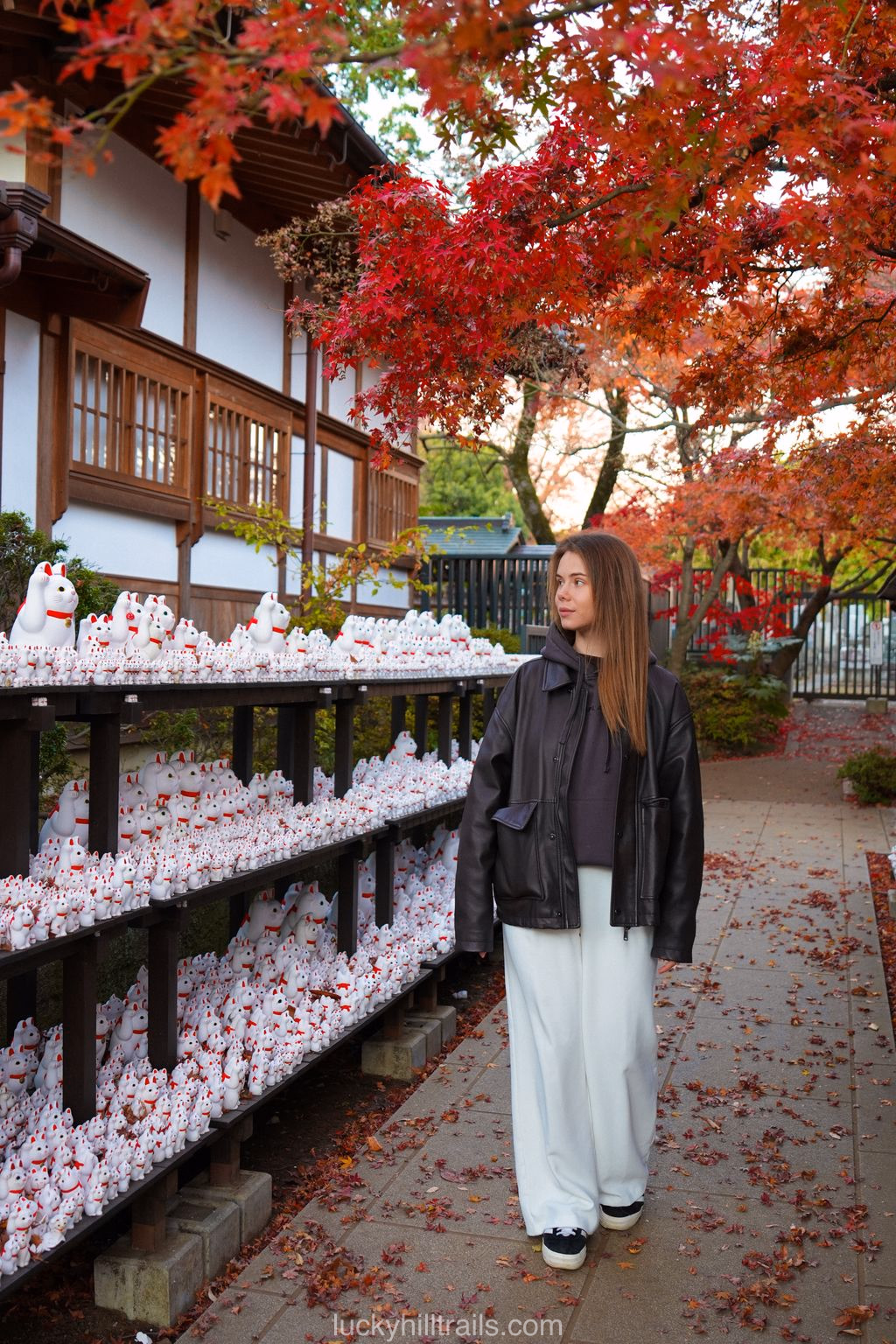 Gōtokuji Temple grounds, famous for lucky cats
